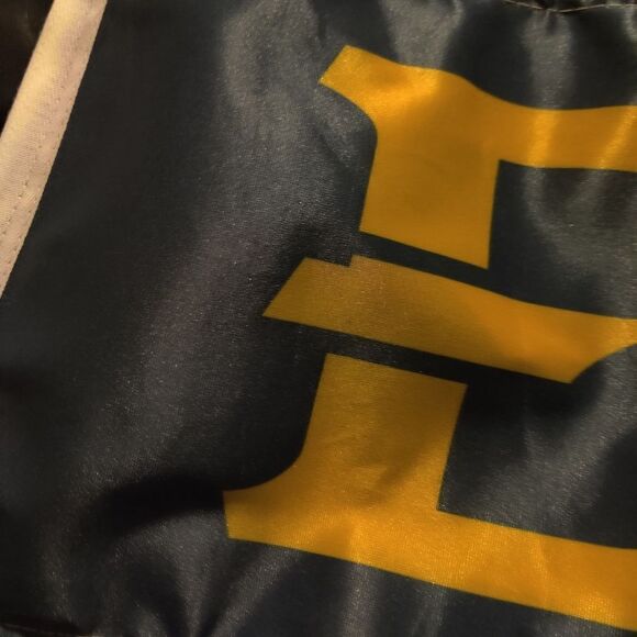 NEW East Tennessee State Buccaneers Double Sided Car Flag College Window Clip - Picture 3 of 5